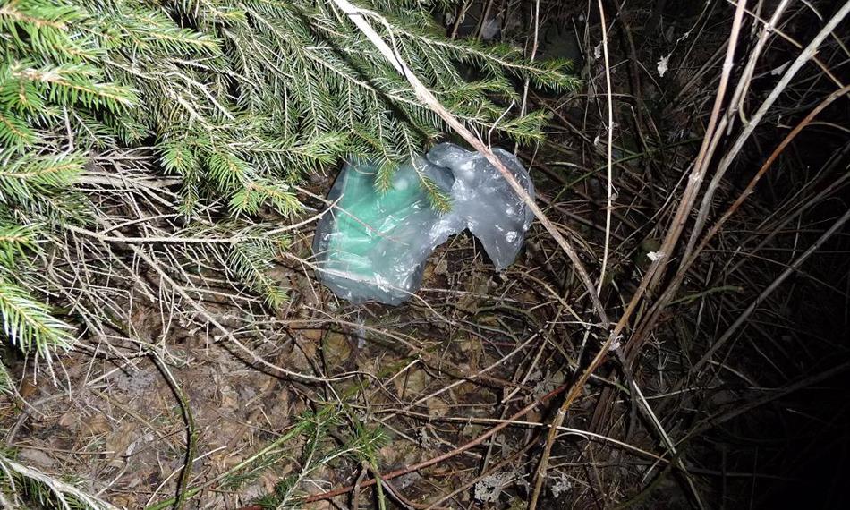 2012-2-28-1056marihuana 5.JPG